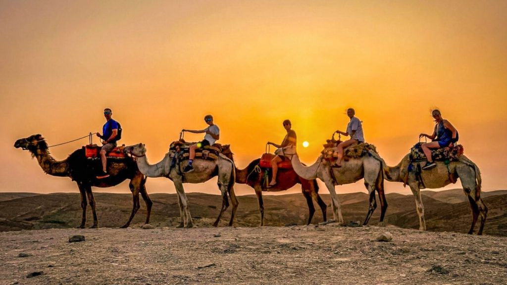 Discover thrilling tours featuring Marrakech quad biking and camel ride today